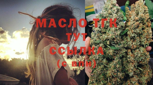 соль ск Кулебаки