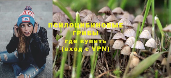 соль ск Кулебаки