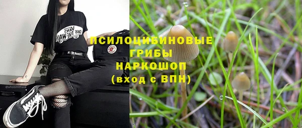 крисы Кукмор