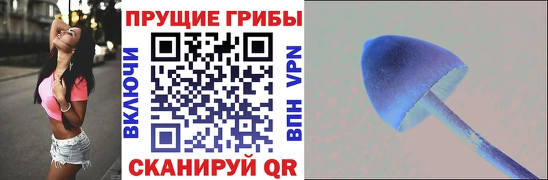 Галлюциногенные грибы мицелий Корсаков