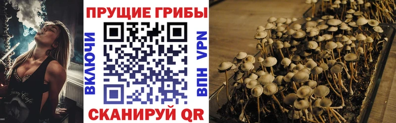 Галлюциногенные грибы мухоморы  Корсаков 