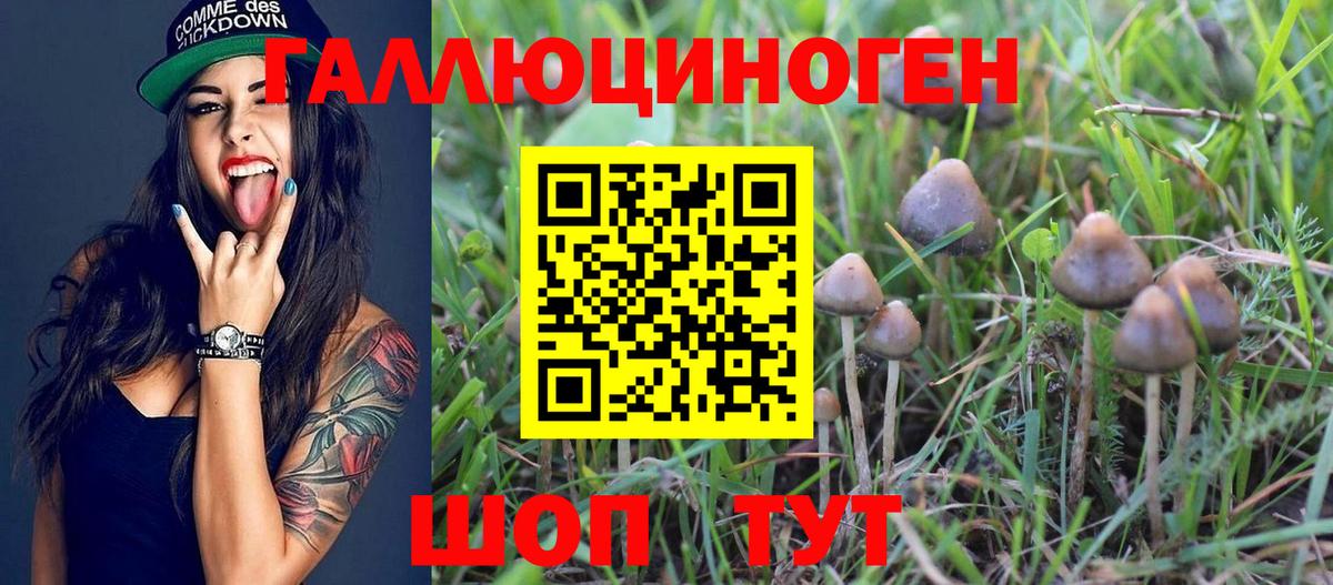 Галлюциногенные грибы Psilocybe  Вход с VPN  Корсаков  Псилоцибиновые грибы Psilocybine cubensis 