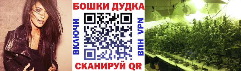 Конопля конопля  наркота  Корсаков 